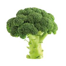 Brocoli